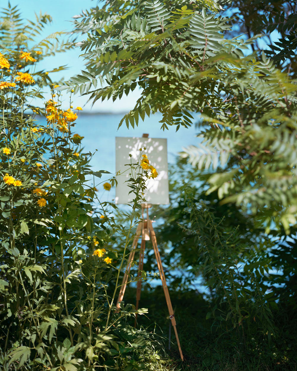 Alec Soth — A Pound of Pictures