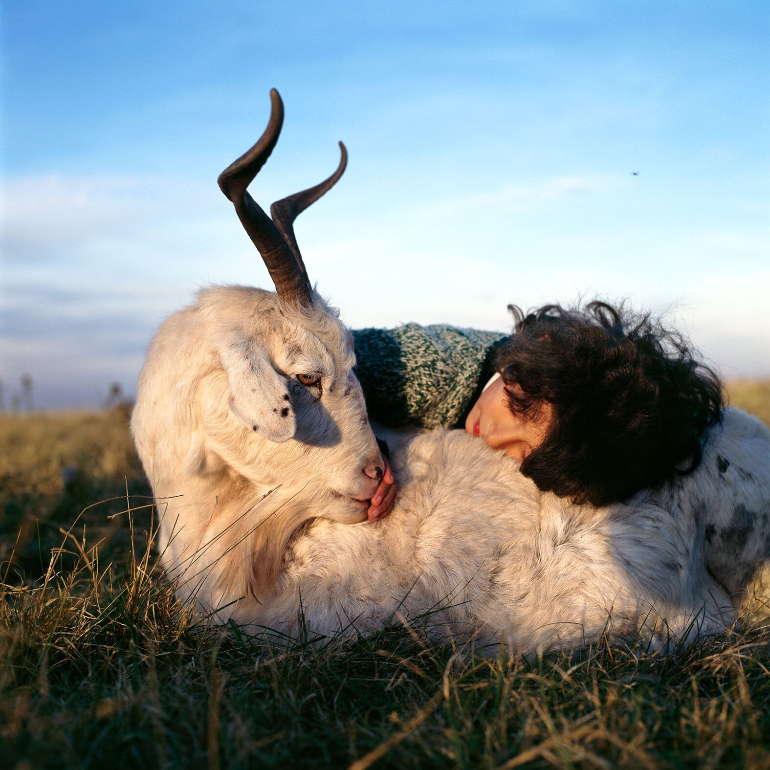 Alessandra Sanguinetti — The Adventures of Guille and Belinda and The Enigmatic Meaning of Their Dreams