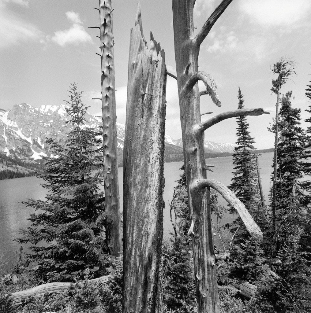 Lee Friedlander — Western Landscapes