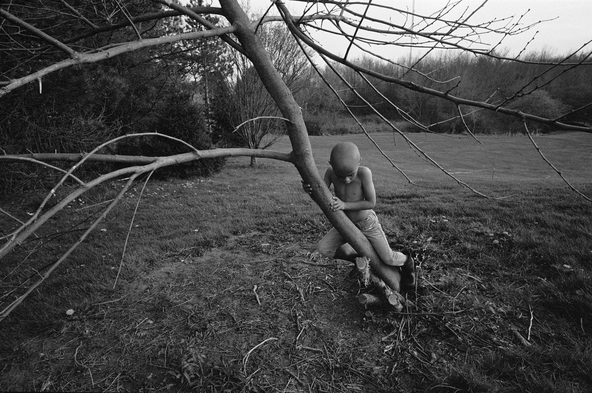 Jesse Lenz — The Seraphim