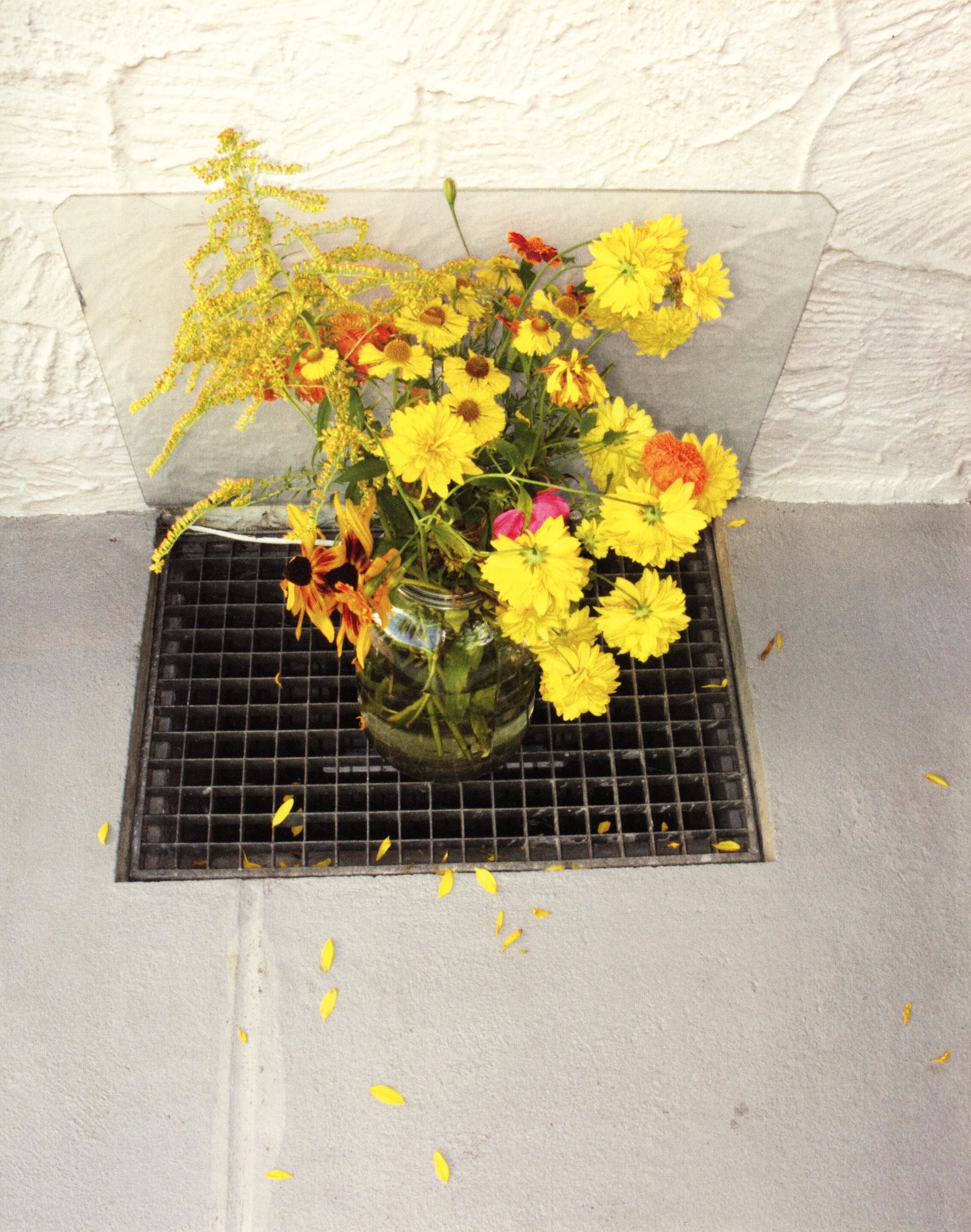 Collier Schorr — Blumen