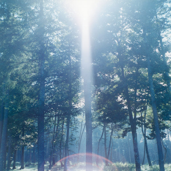 Rinko Kawauchi — Illuminance, Ametsuchi, Seeing Shadow