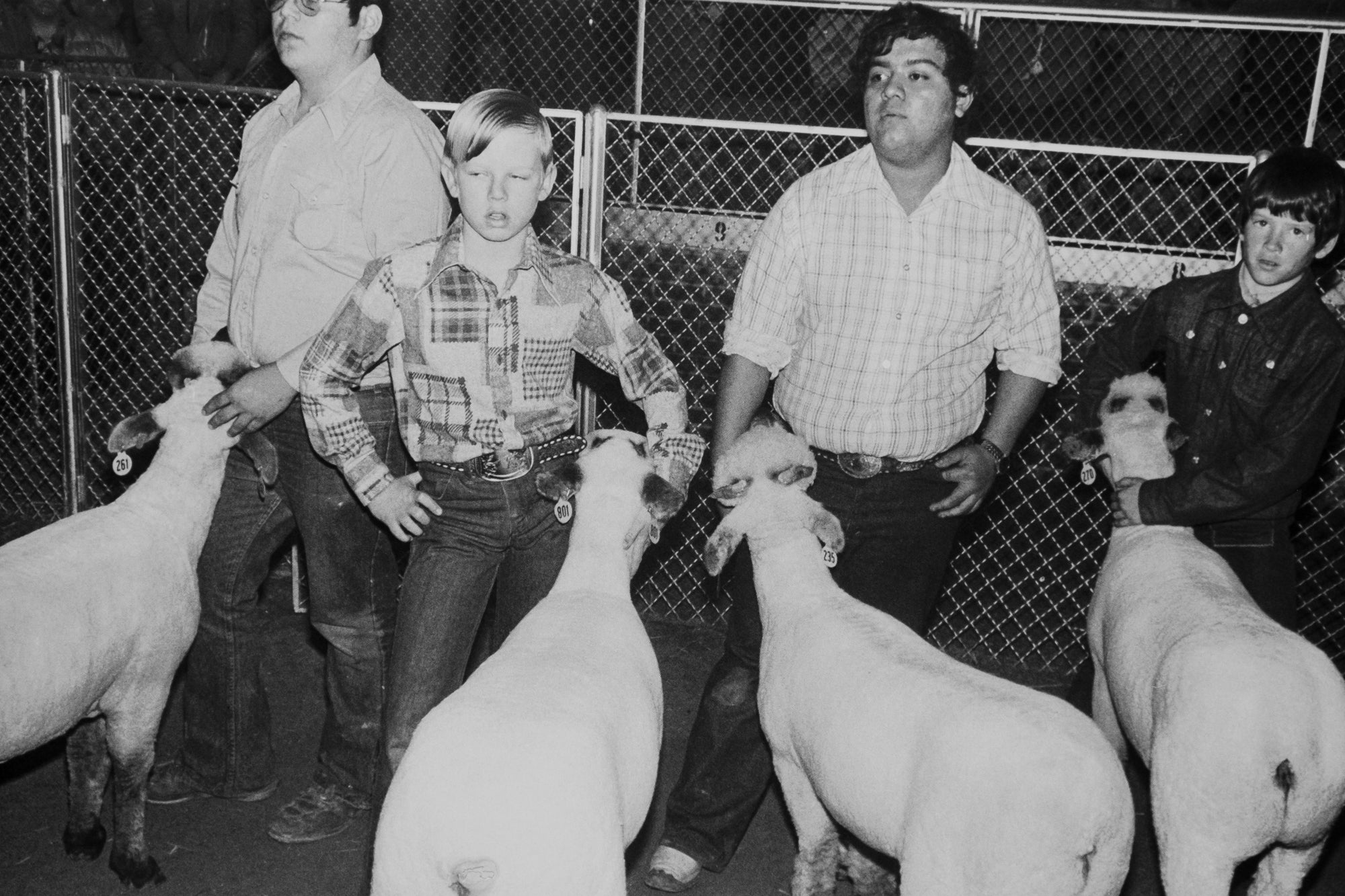 Garry Winogrand — Stock Photographs