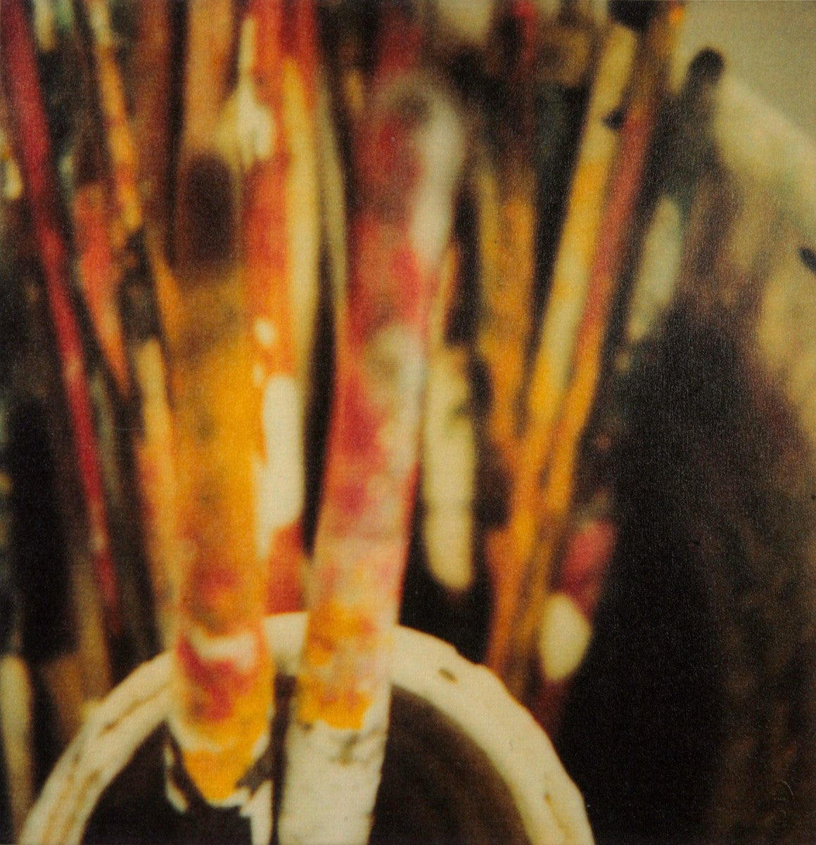 Cy Twombly — Photographs III 1951–2010