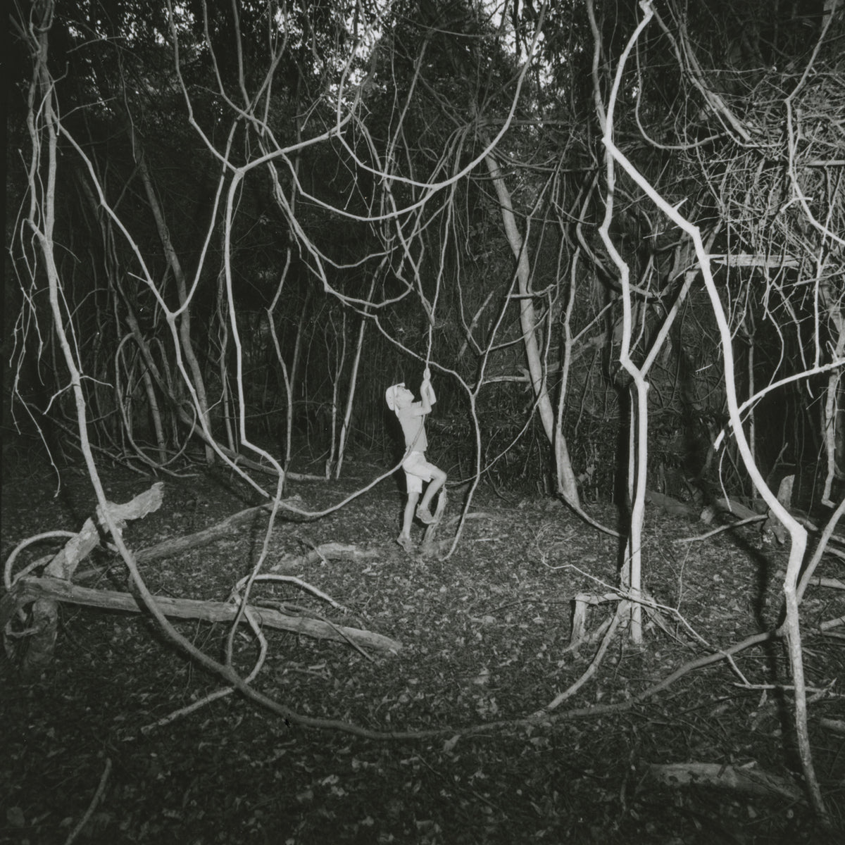 Wouter van de Voorde — Nucleo