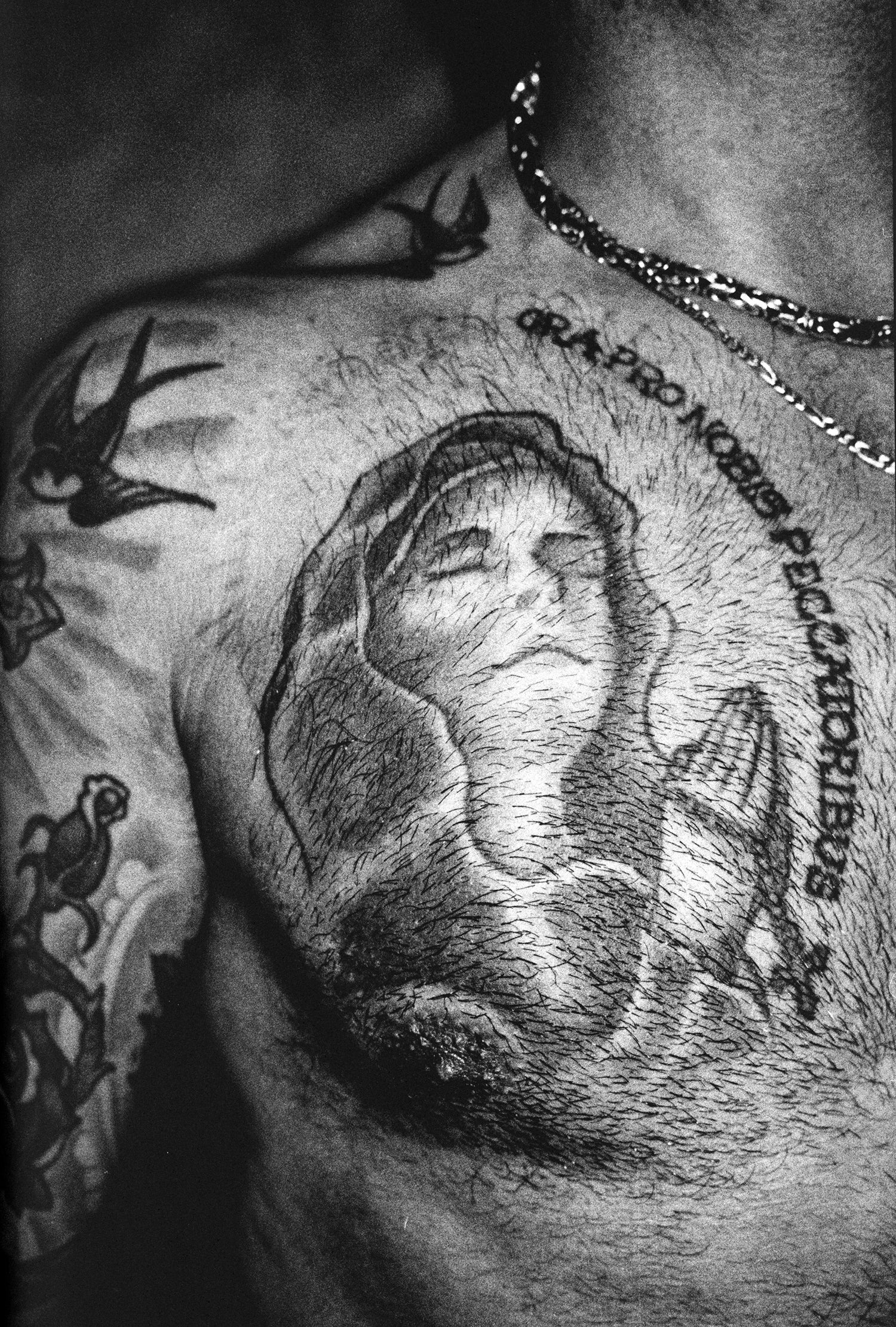Anders Petersen — To Belong