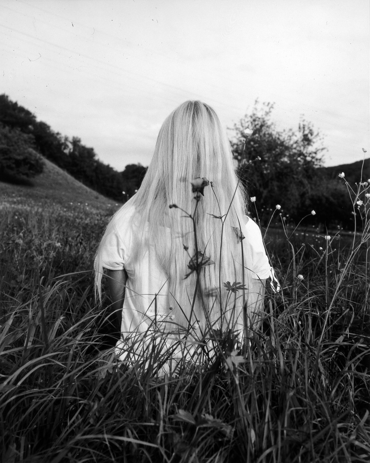 Collier Schorr — Neighbors / Nachbarn – Wolf Books