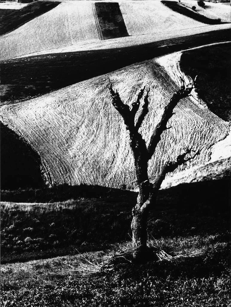 Mario Giacomelli — Mario Giacomelli