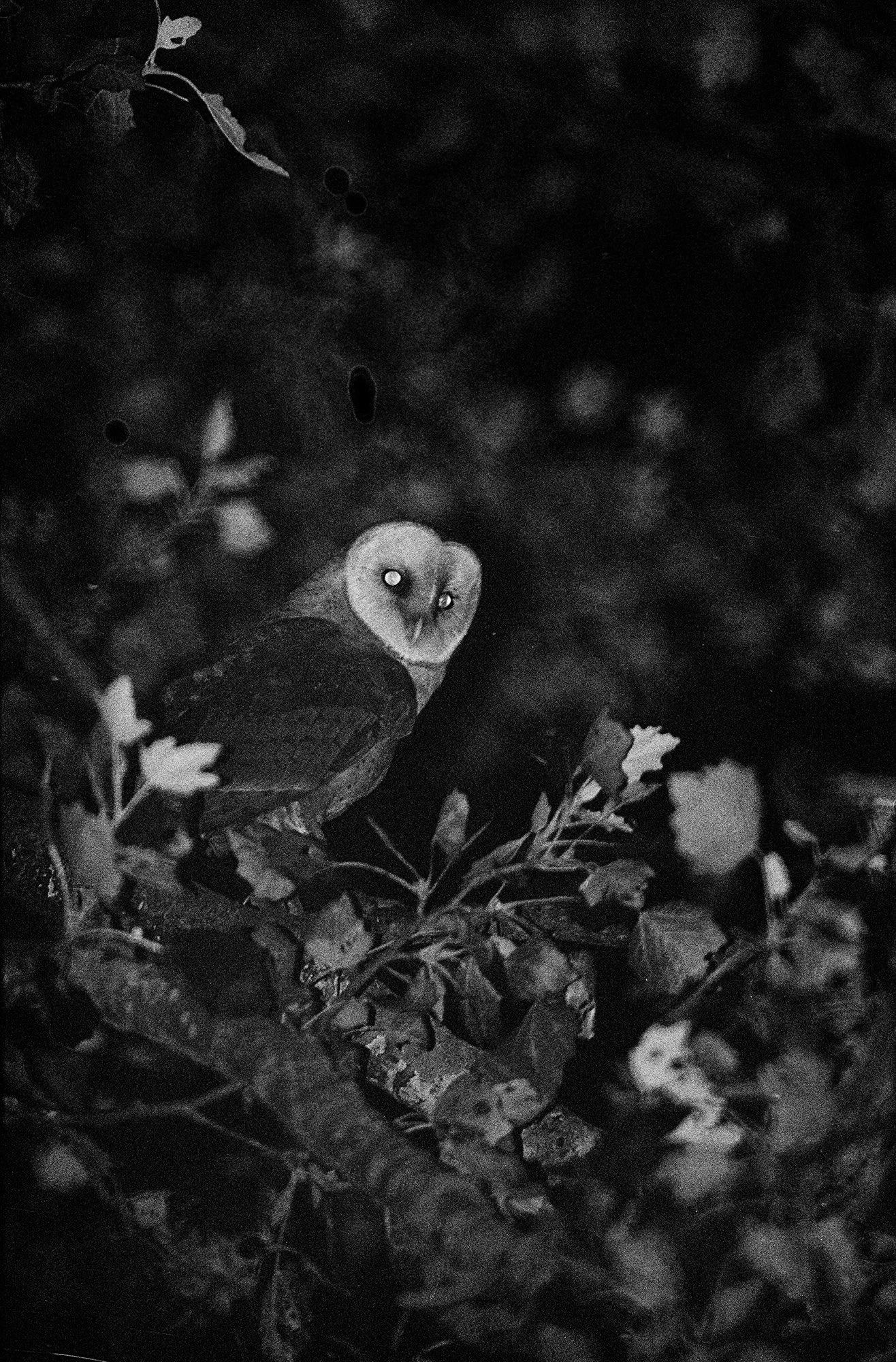 Marshall To — Blank Notes