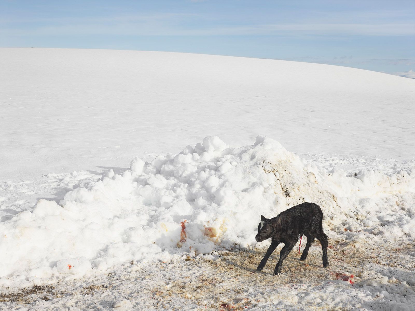 Lucas Foglia — Frontcountry