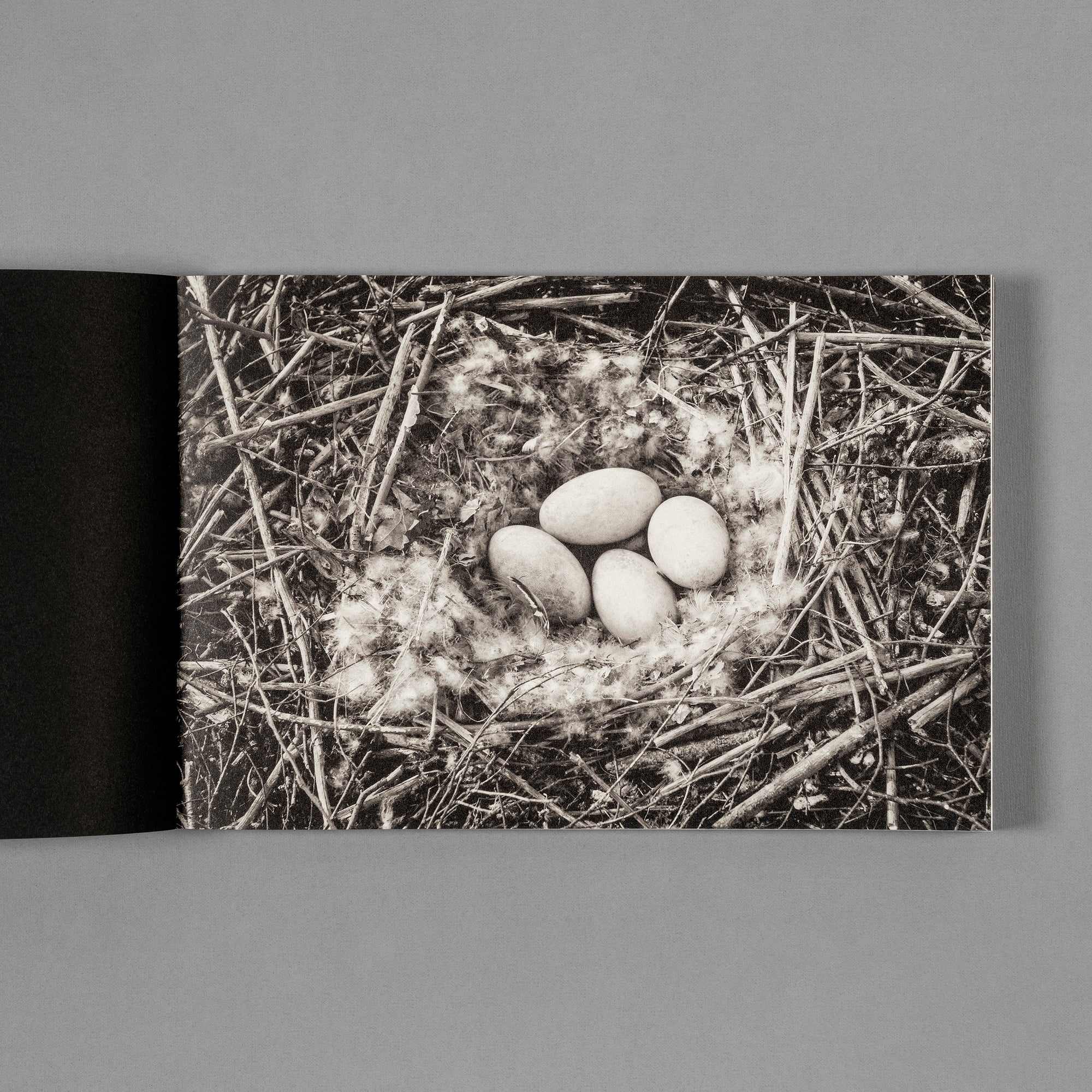 Hans Bol — On My Doorstep