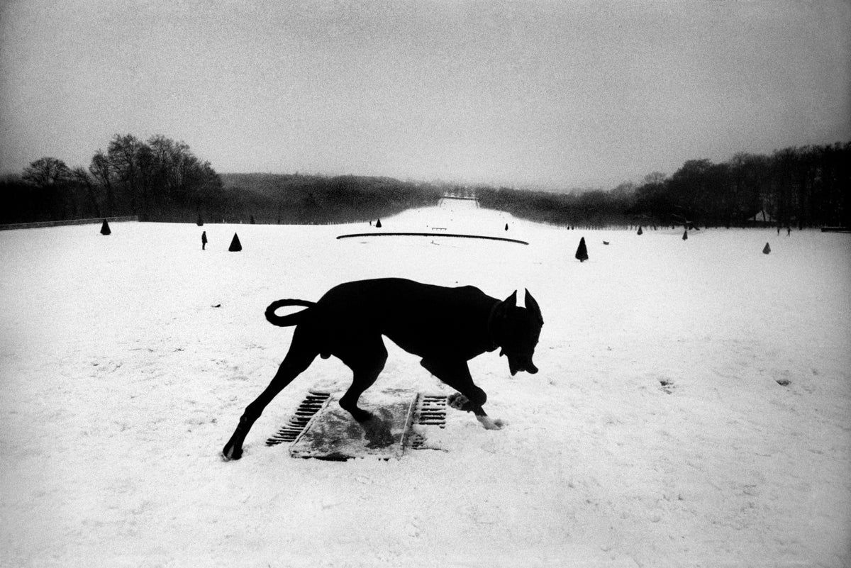 Josef Koudelka — Exils