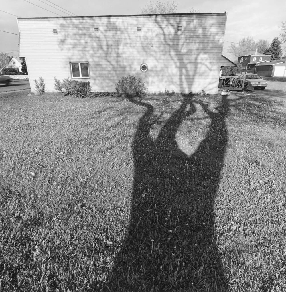 Lee Friedlander — Sticks & Stones