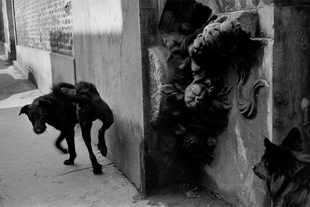 Agnès Sire — Sergio Larrain (Vagabond Photographer)