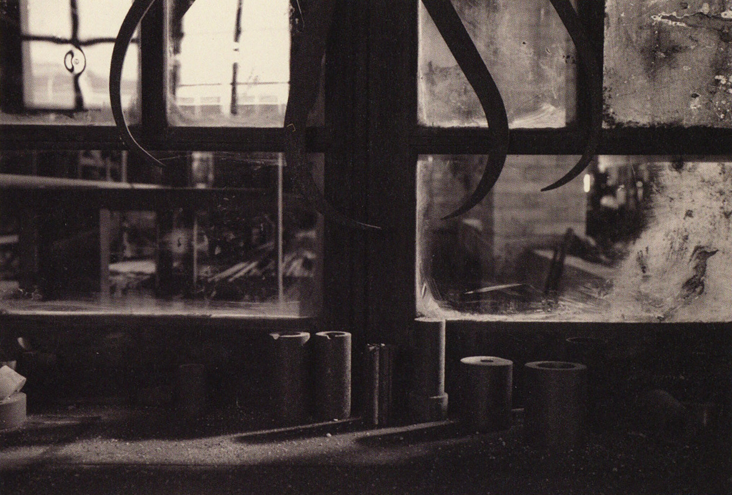 Joan Fontcuberta — Trepat