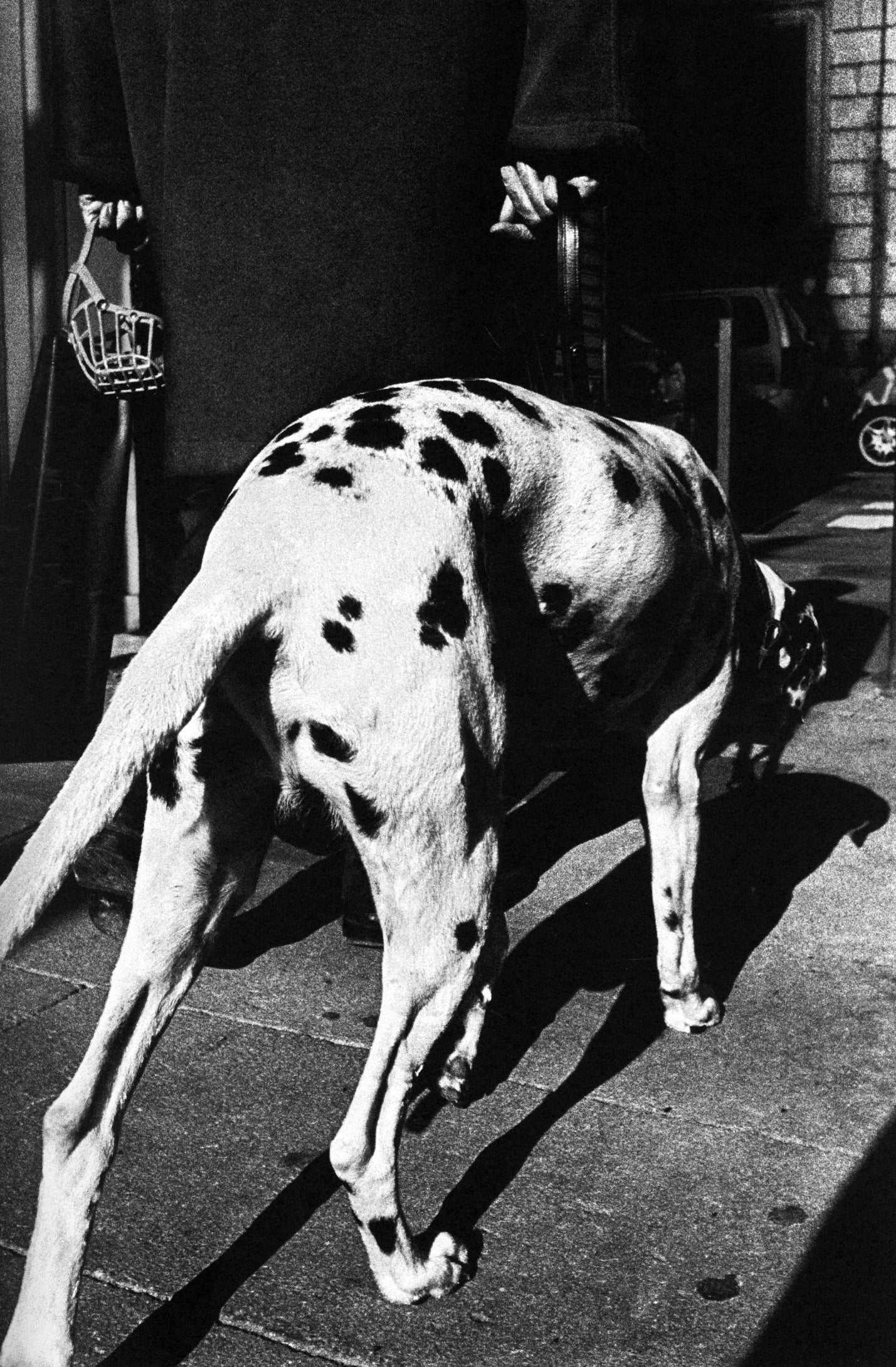 Anders Petersen — Rome
