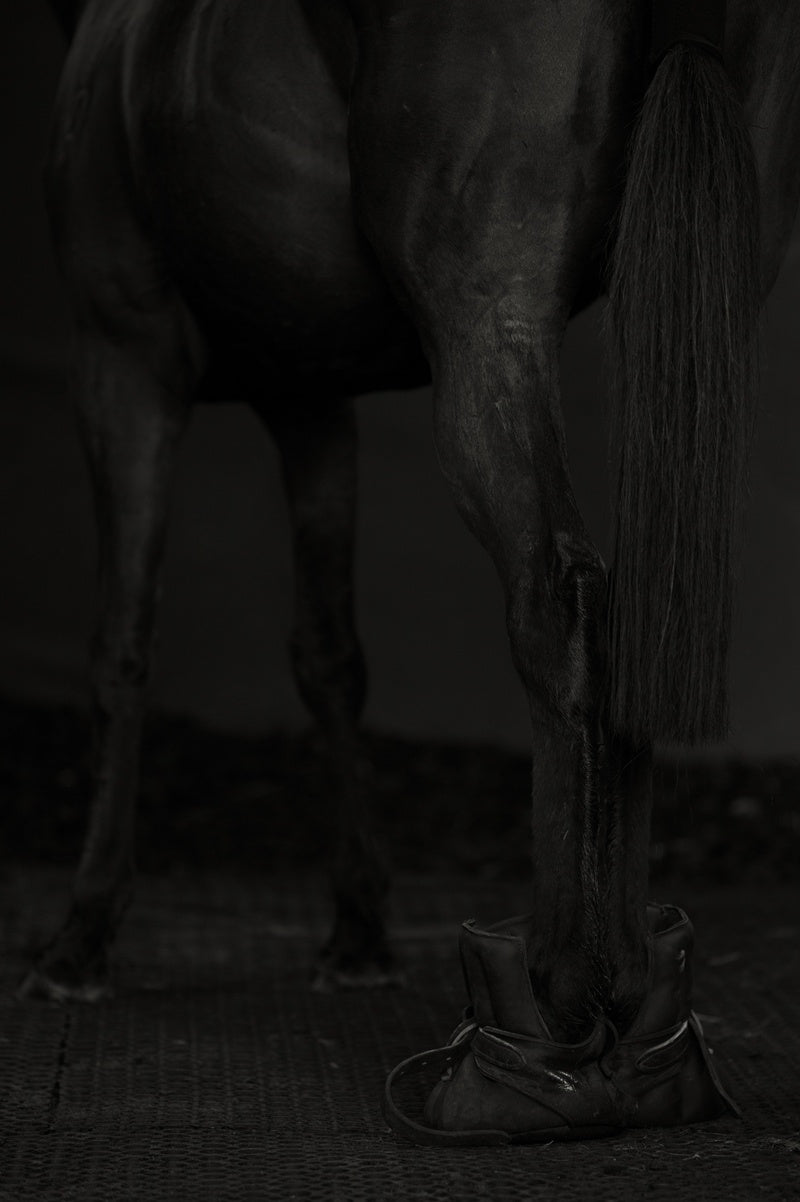 Bruce Connew — Body of Work