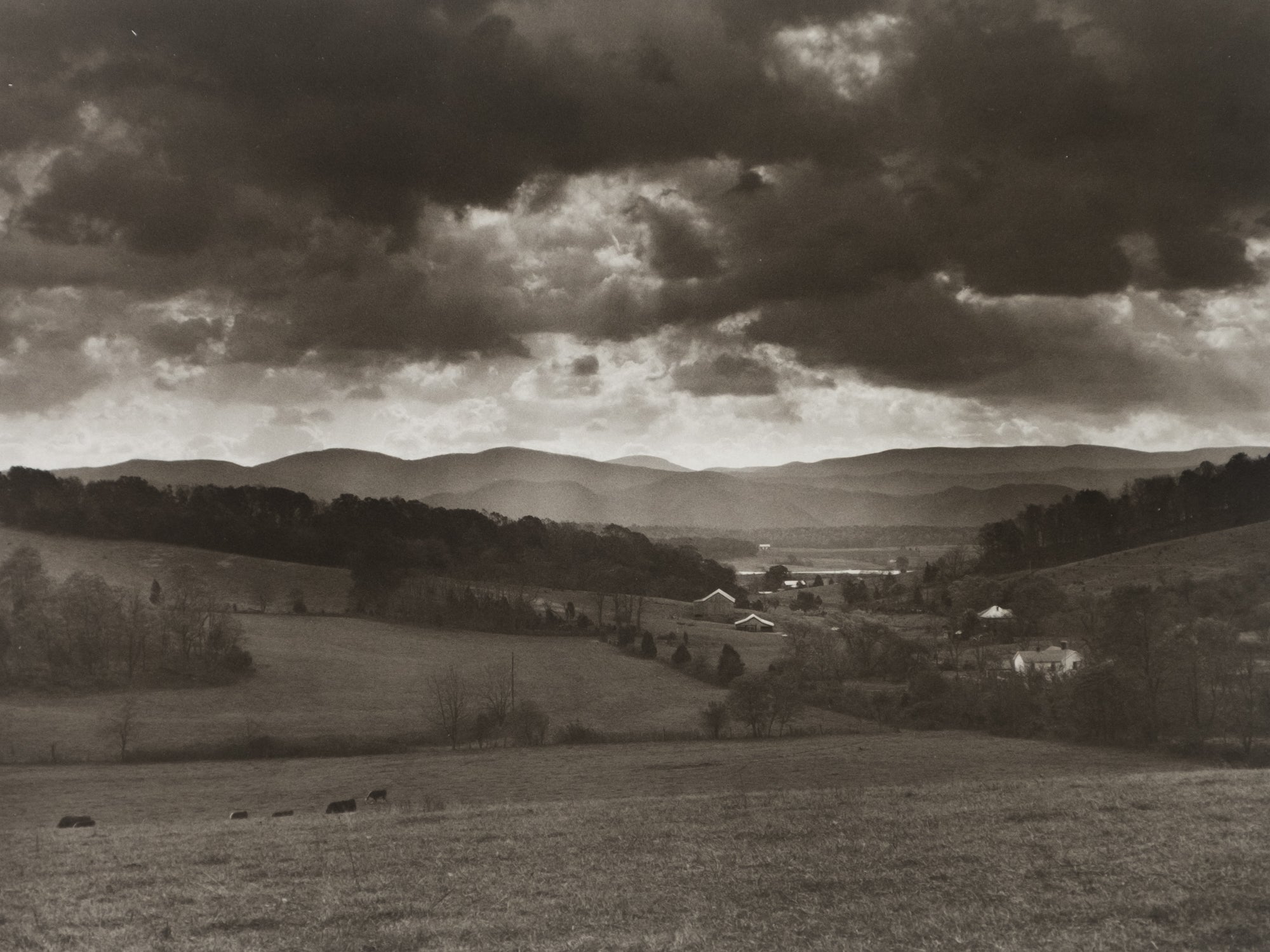 Sally Mann — Still Time