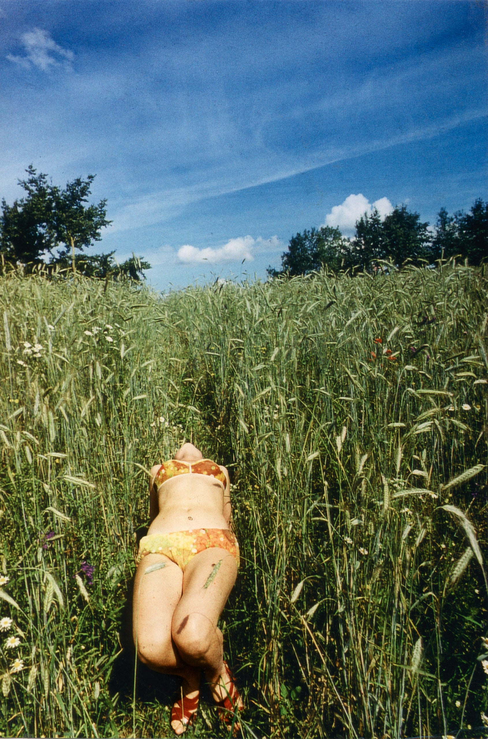 Boris Mikhailov — Suzi et Cetera
