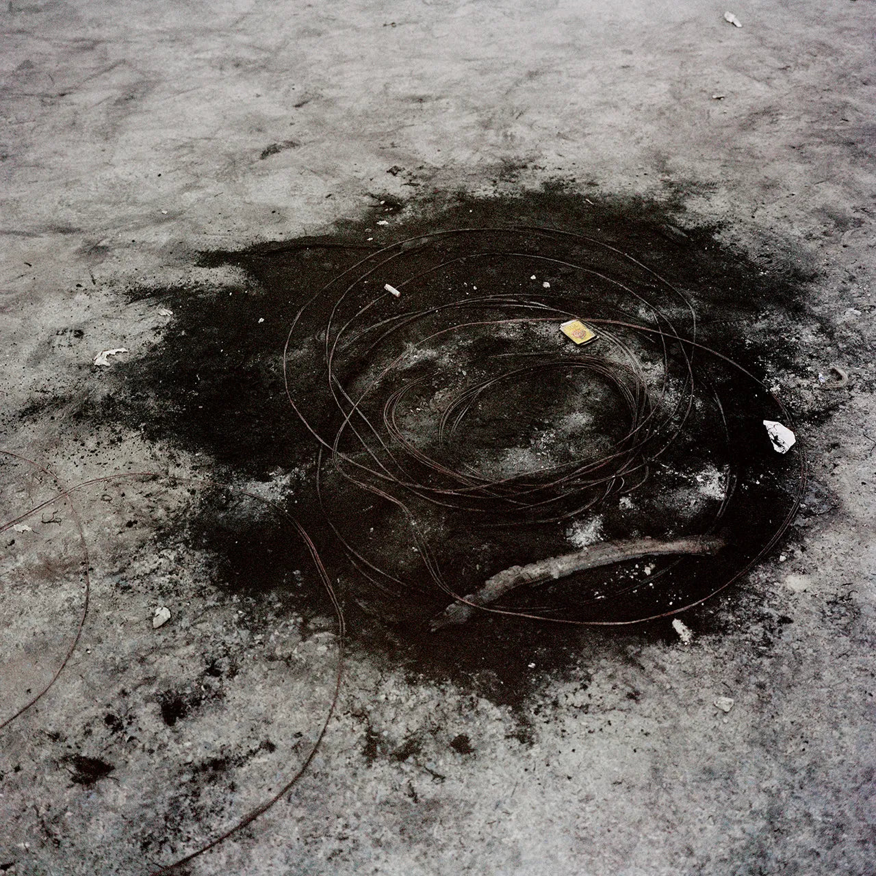 Sohrab Hura — Snow