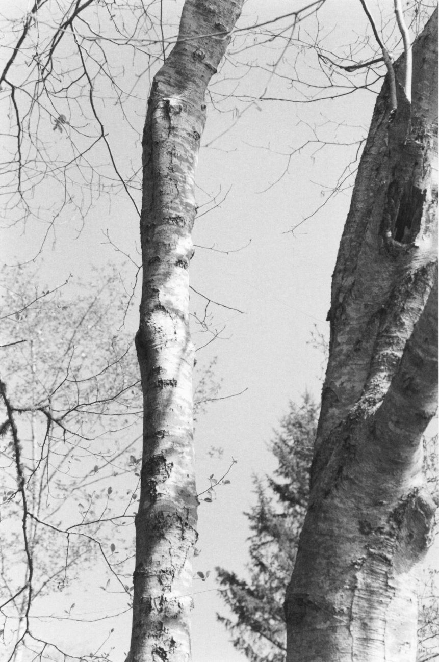 Robert Adams — Sea Stories