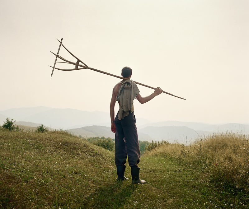Clare Richardson — Beyond the Forest
