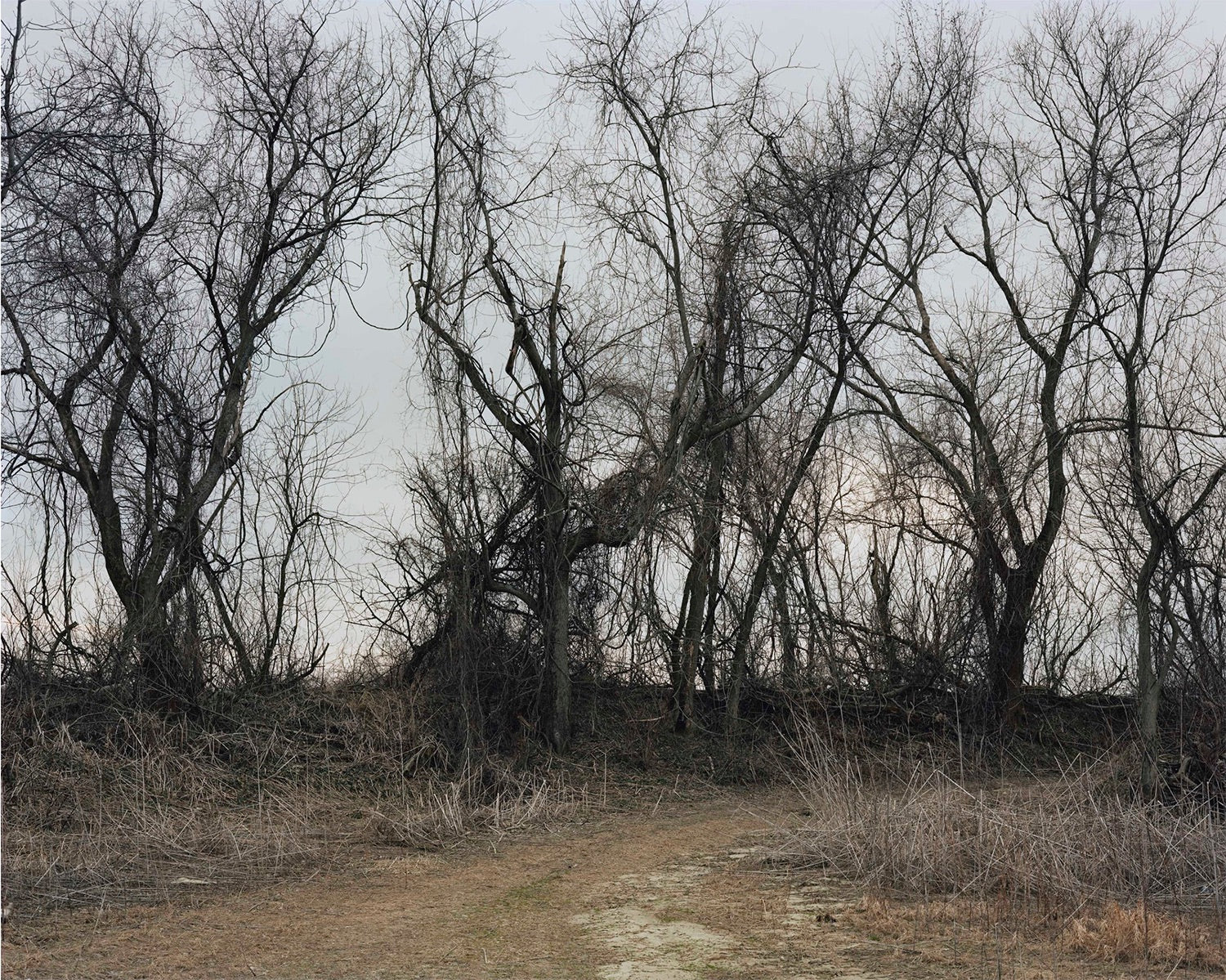 Joel Sternfeld — Oxbow Archive