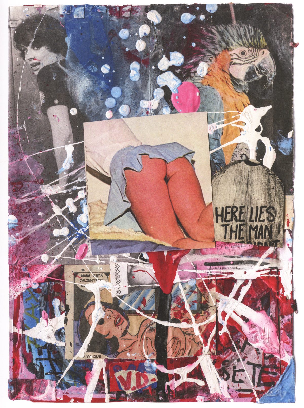 Vincent Delbrouck — Sharon Stone, La Vie des Animaux - Vol.1