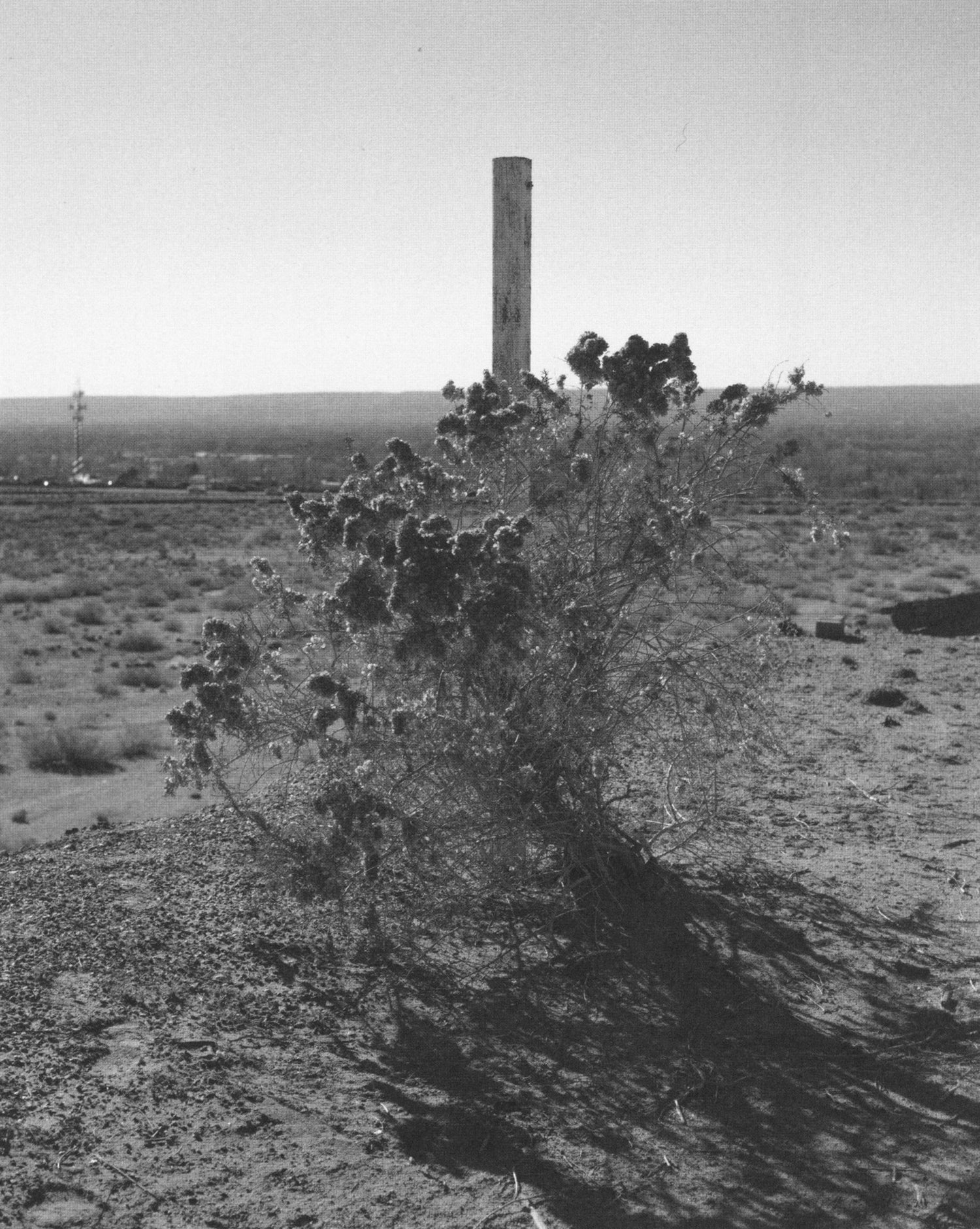 Alan Huck — I Walk Toward the Sun Which is Always Going Down