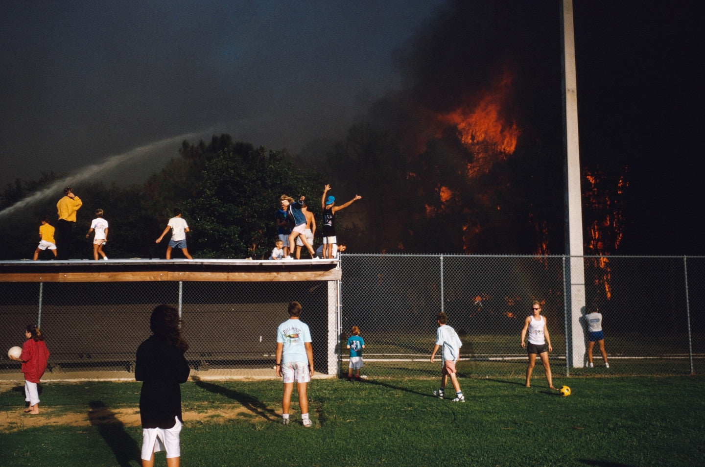 Alex Webb — From the Sunshine State