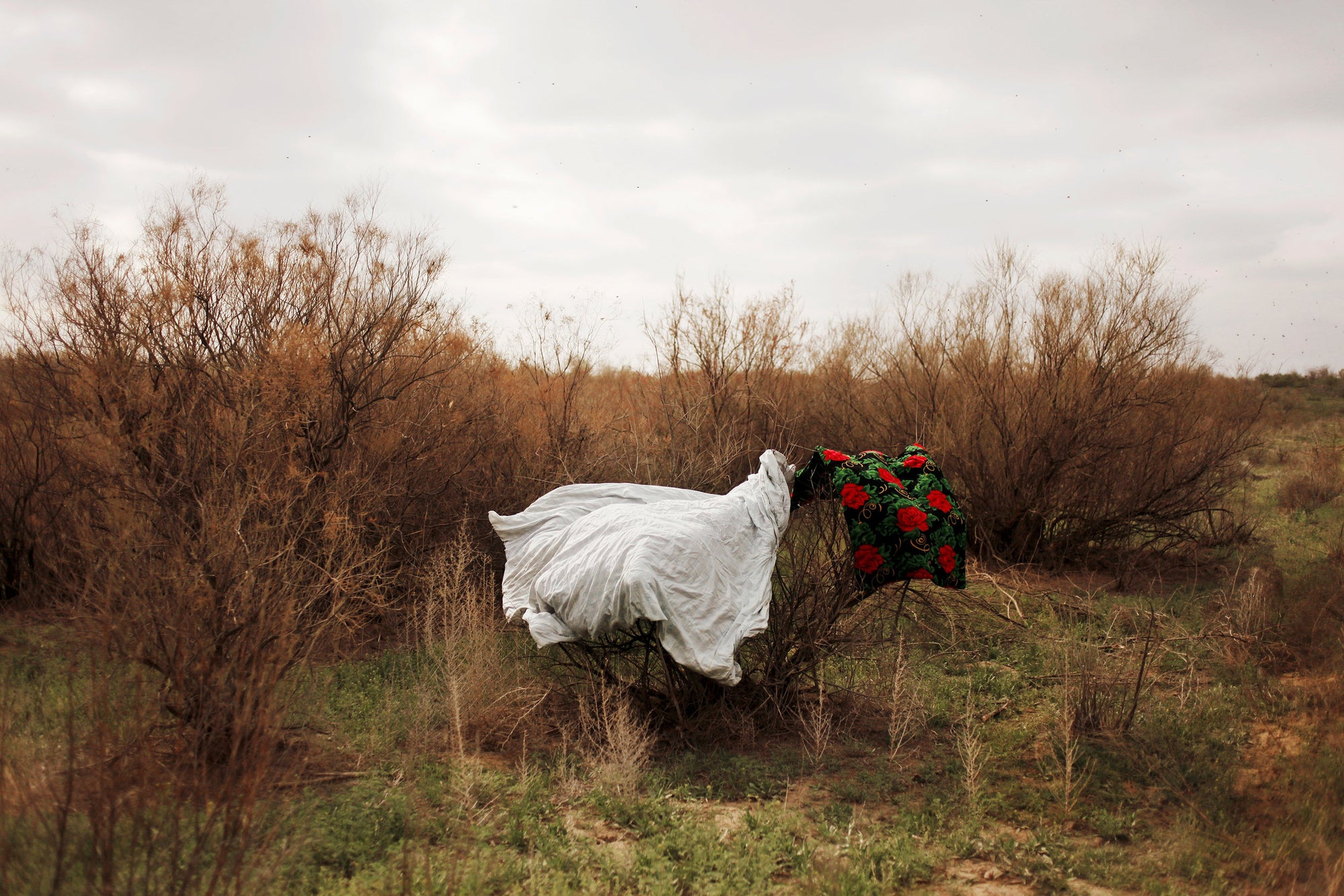 Carolyn Drake — Two Rivers