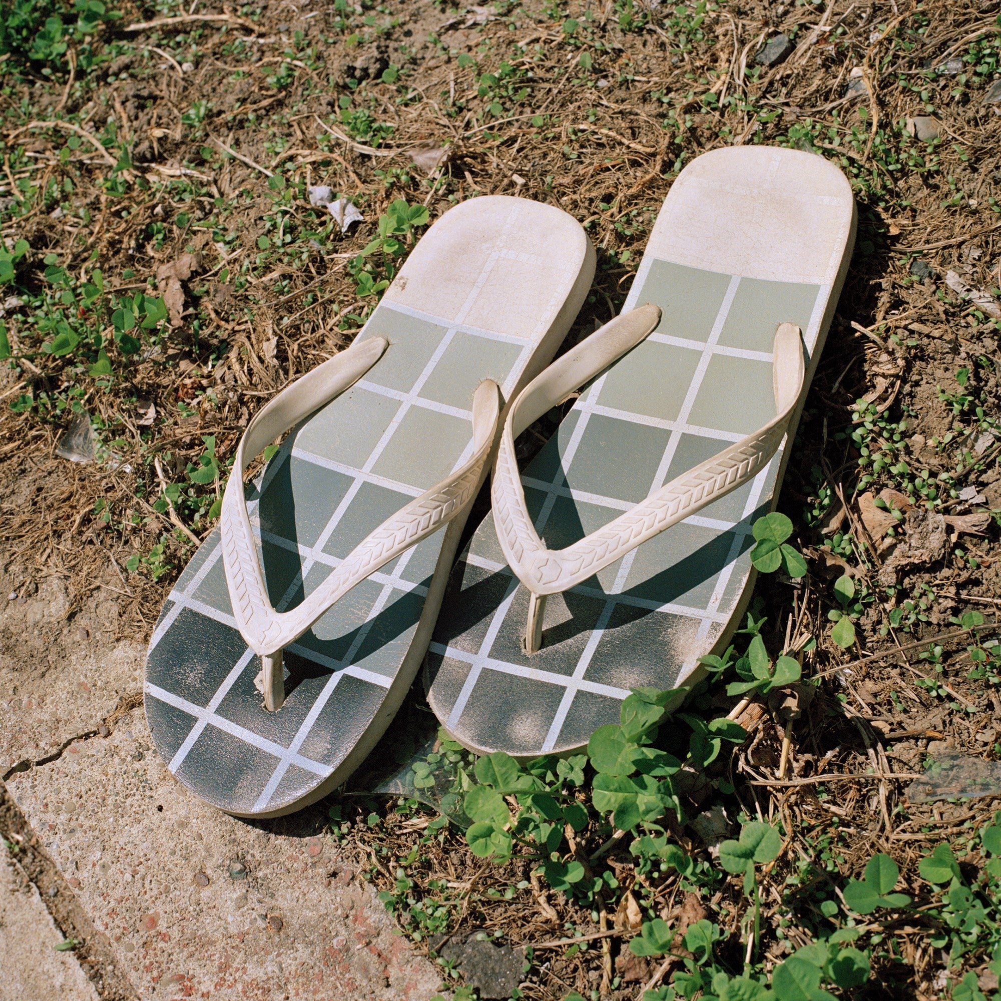 Jason Fulford — Picture Summer on Kodak Film