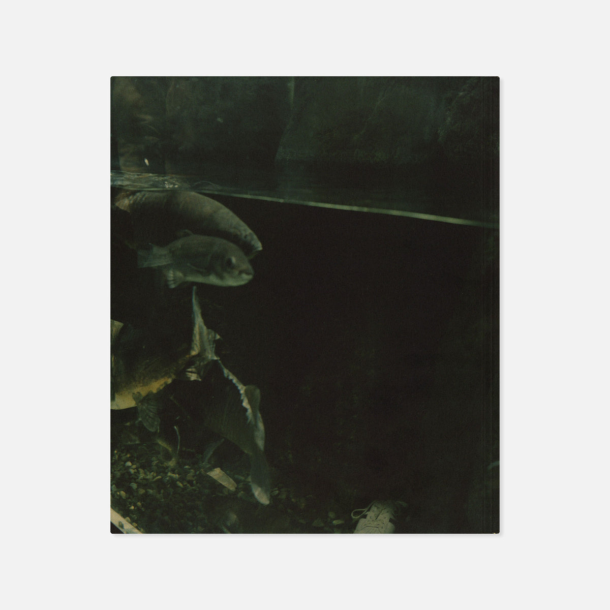 Mikiko Hara — Small Myths