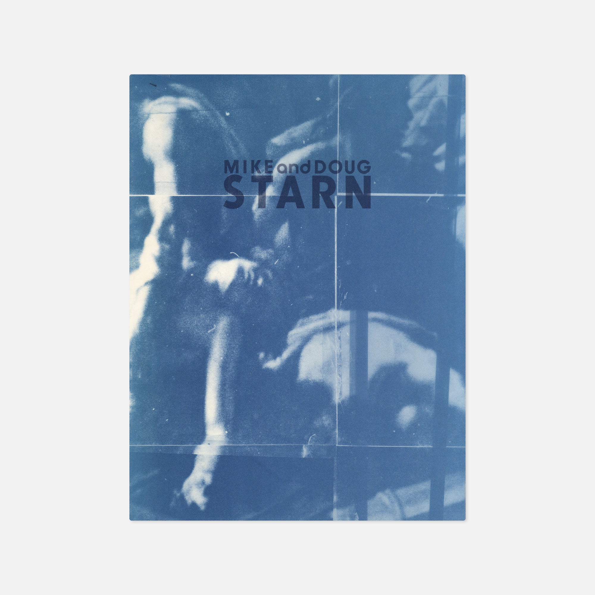 Mike Starn & Doug Starn — Mike and Doug Starn