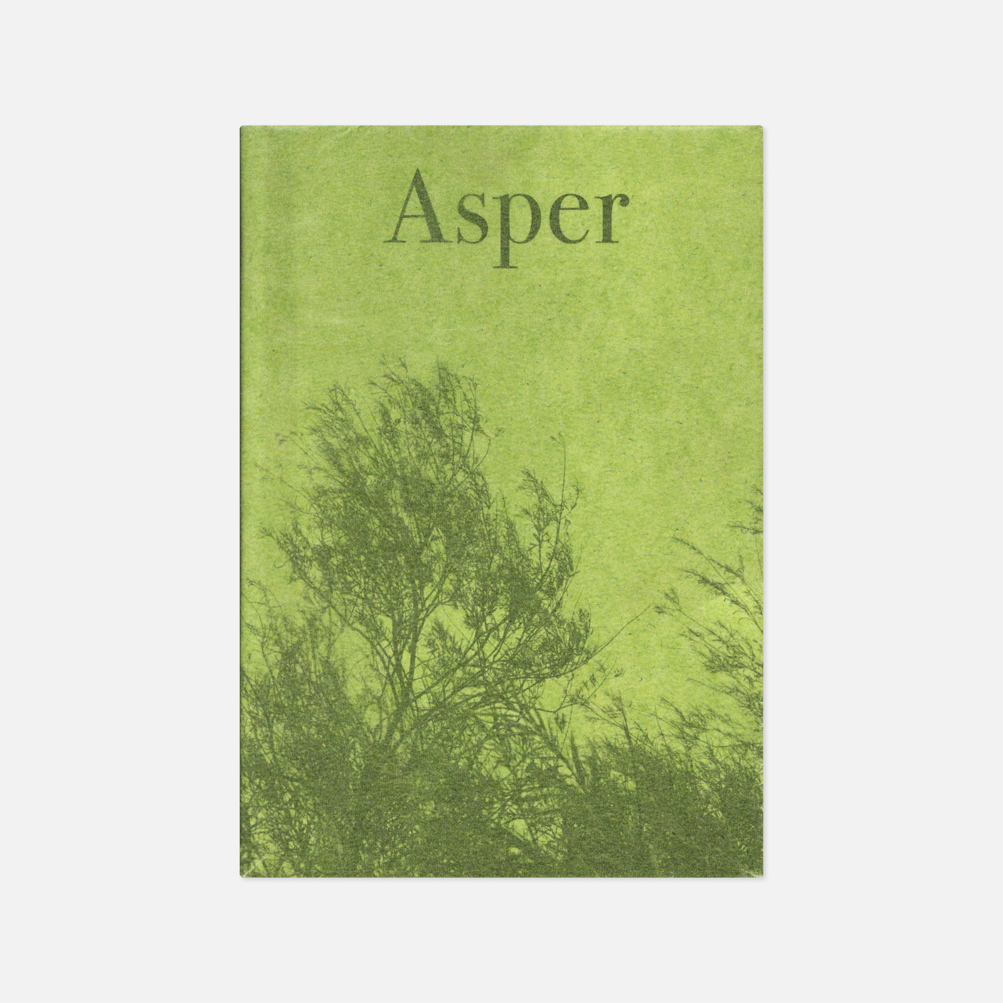 Karianne Bueno — Asper