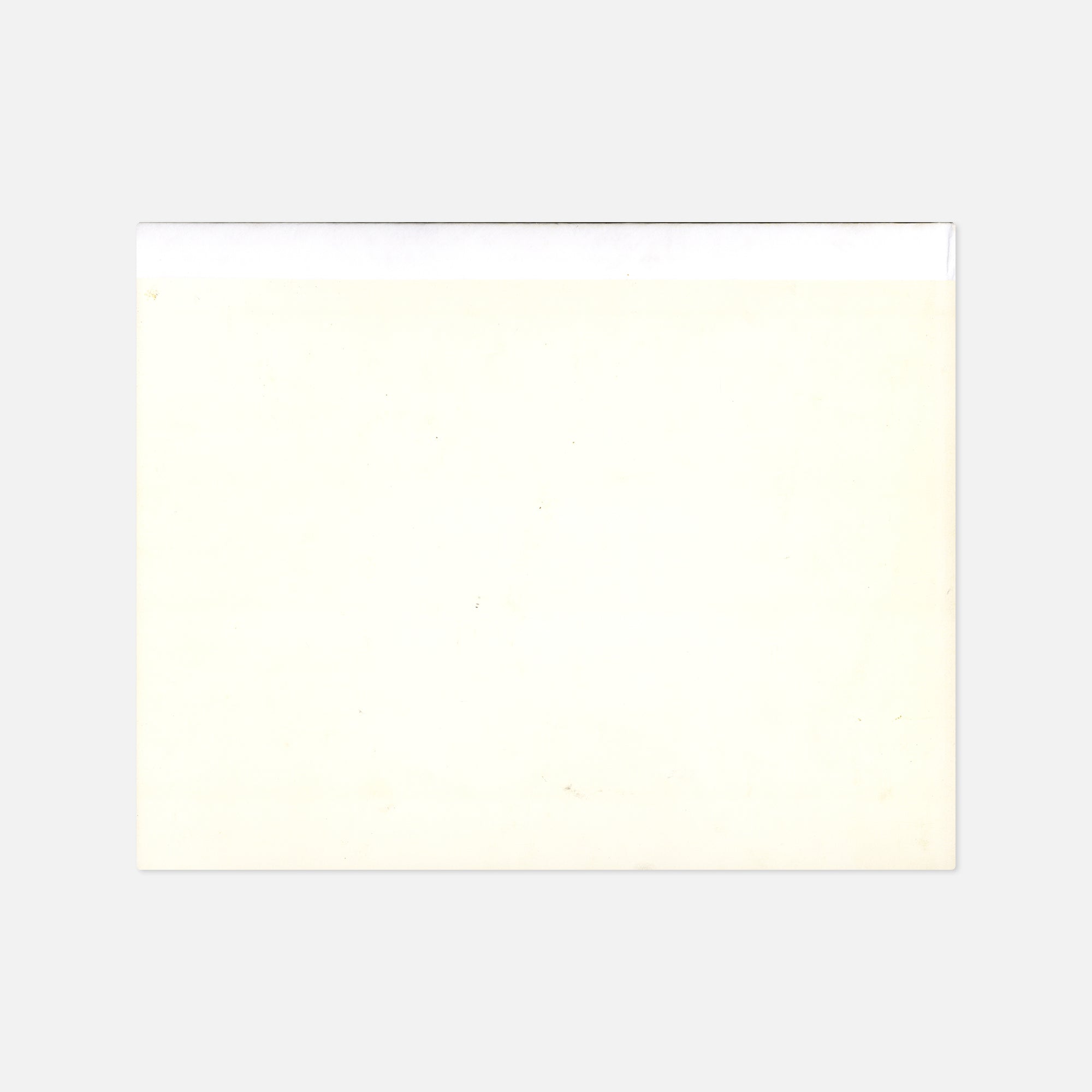 Marie-José Jongerius — Concrete Wilderness