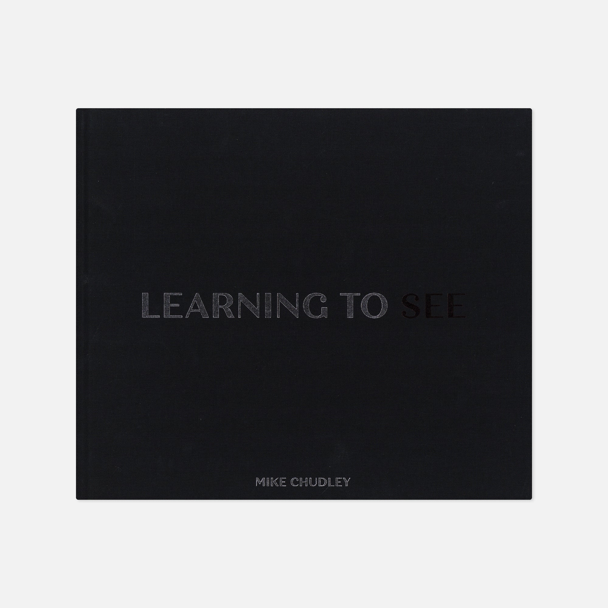 Mike Chudley — Learning to See