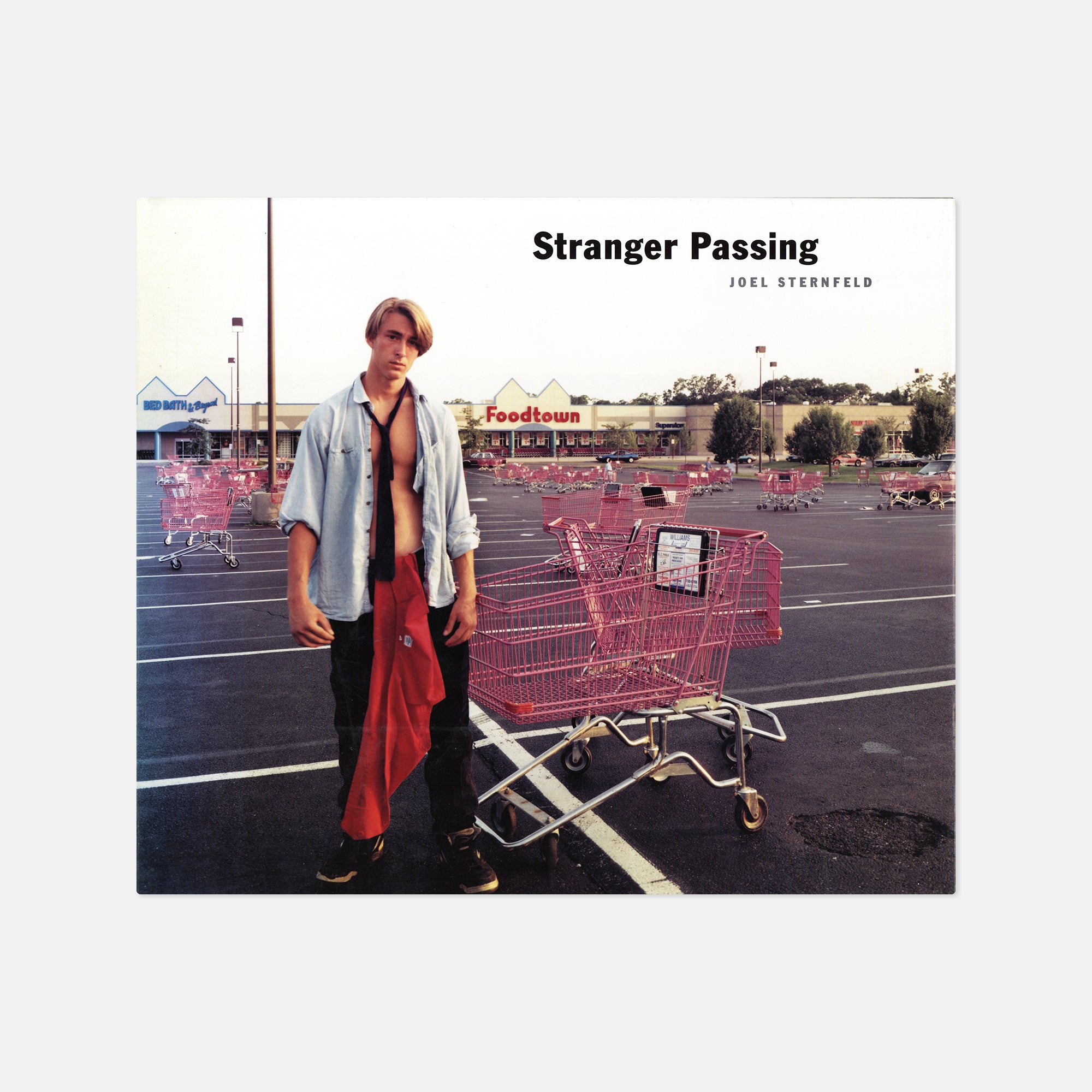 Joel Sternfeld — Stranger Passing