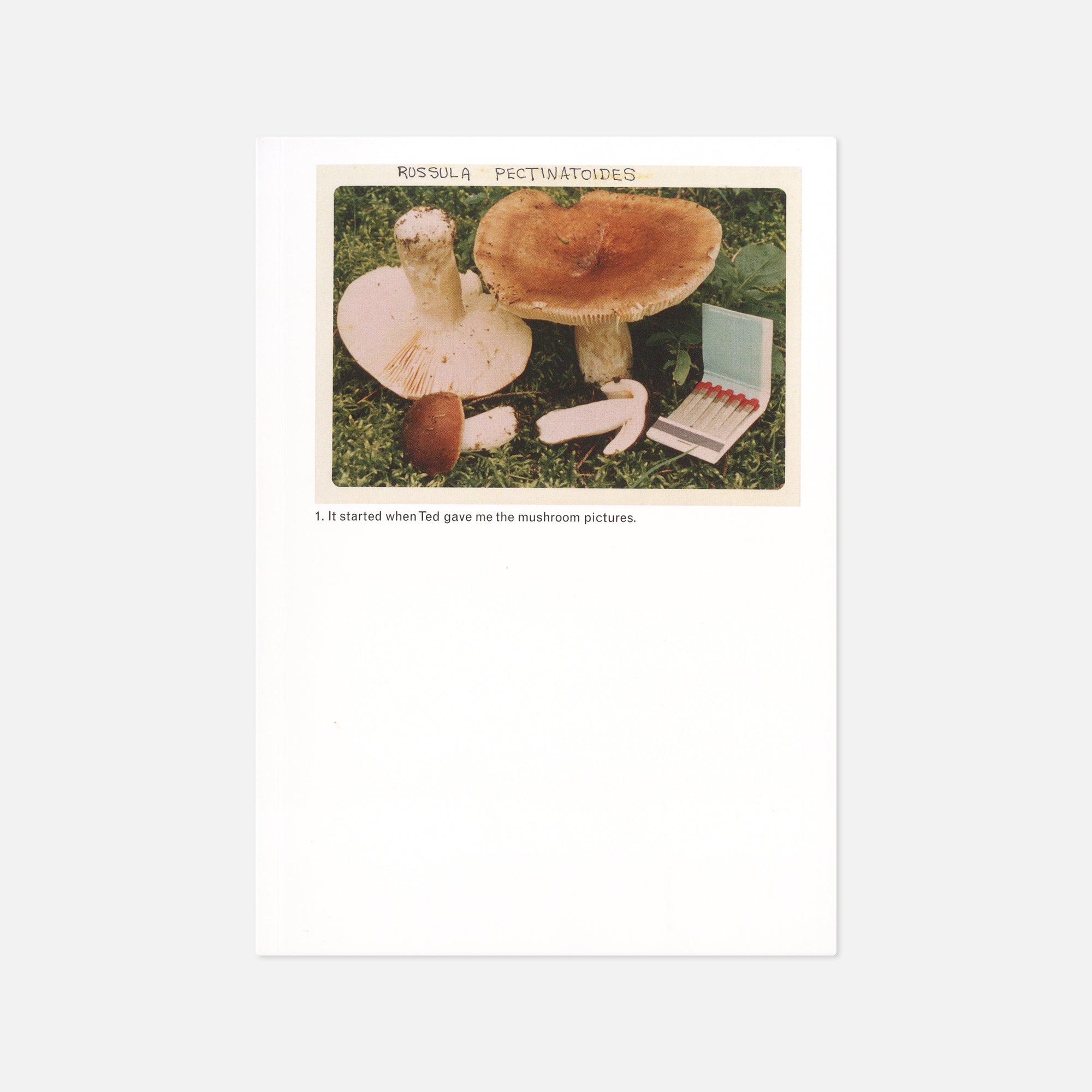 Jason Fulford — The Mushroom Collector
