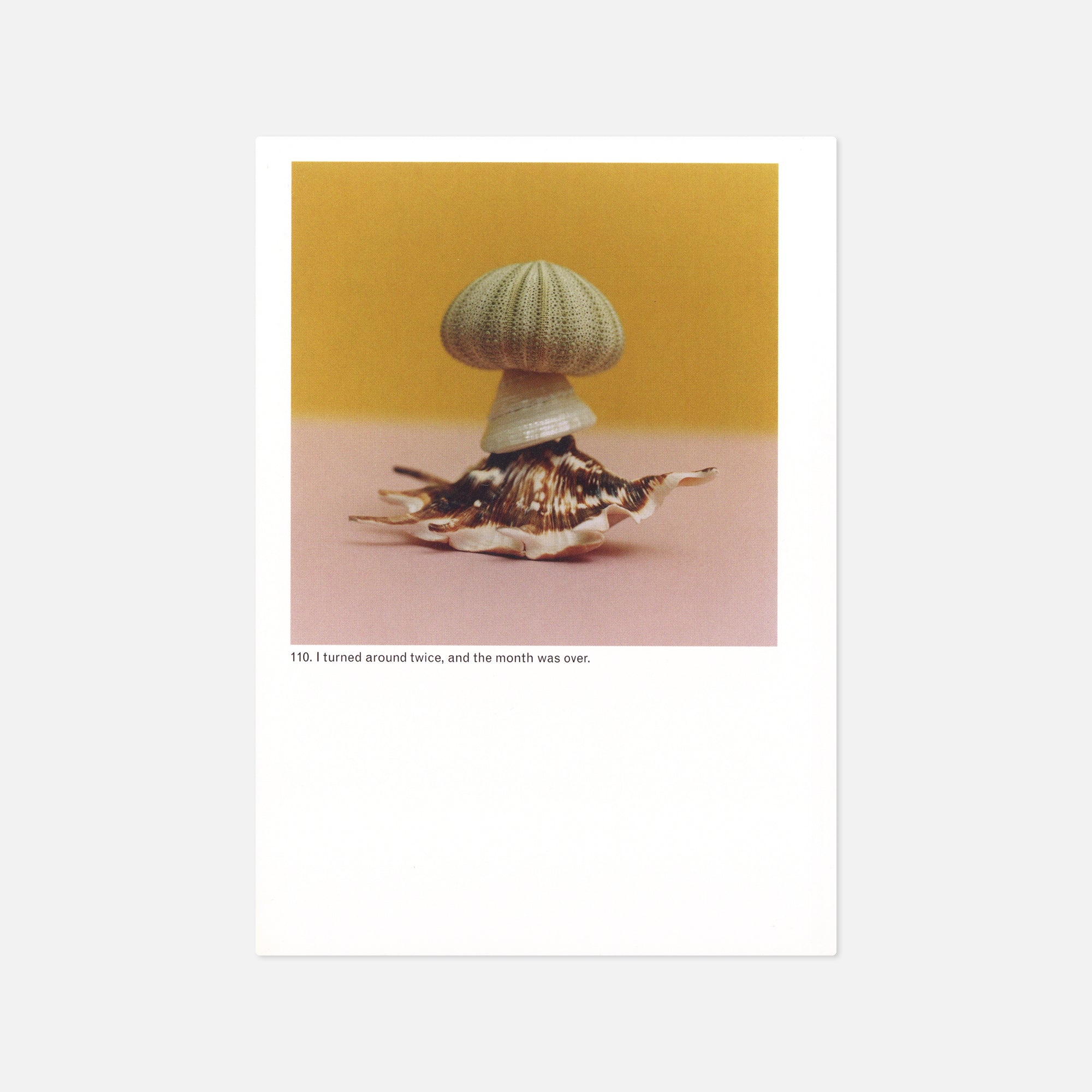 Jason Fulford — The Mushroom Collector