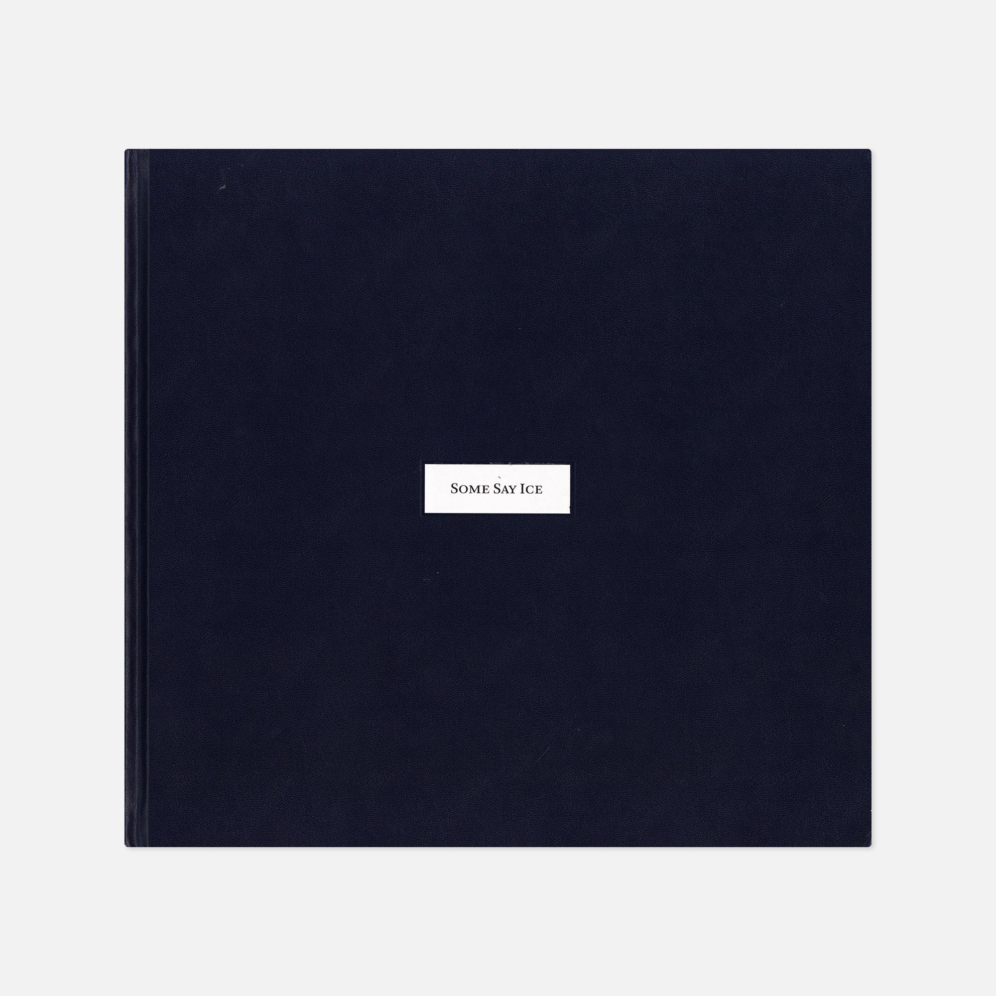 Alessandra Sanguinetti — Some Say Ice