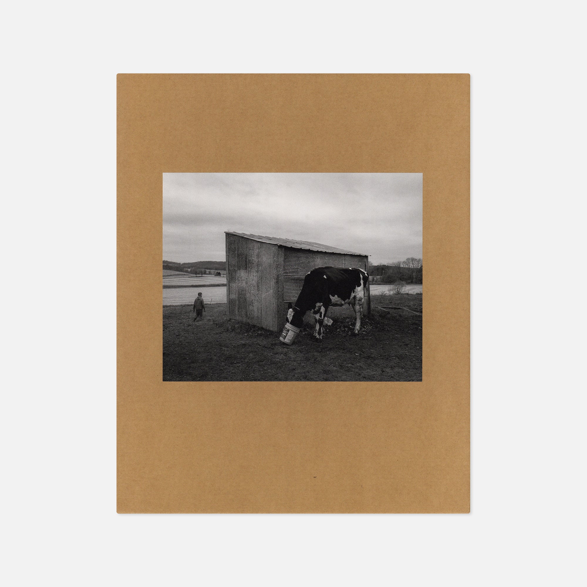 Erinn Springer — Dormant Season