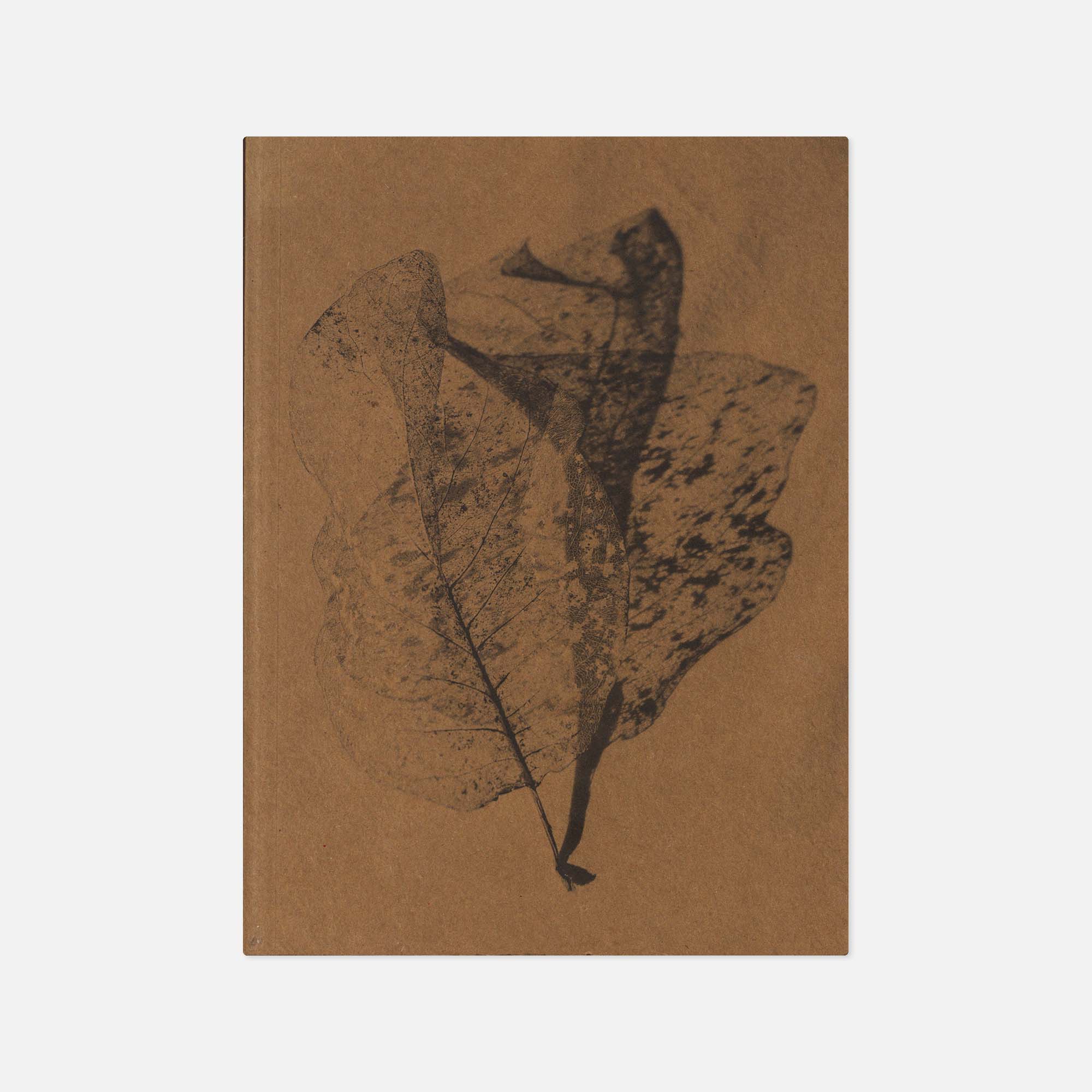 Robbie Lawrence — A Voice Above the Linn
