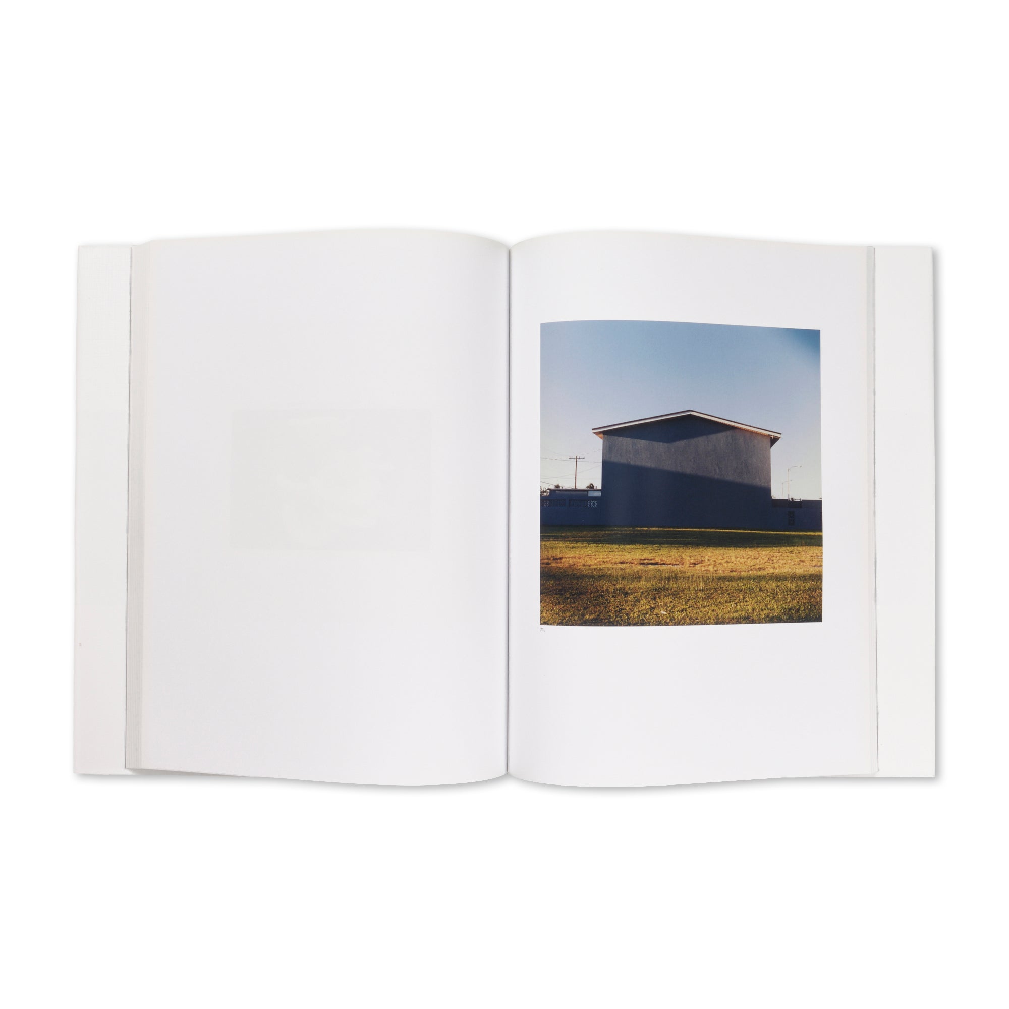 Jason Fulford — The Mushroom Collector