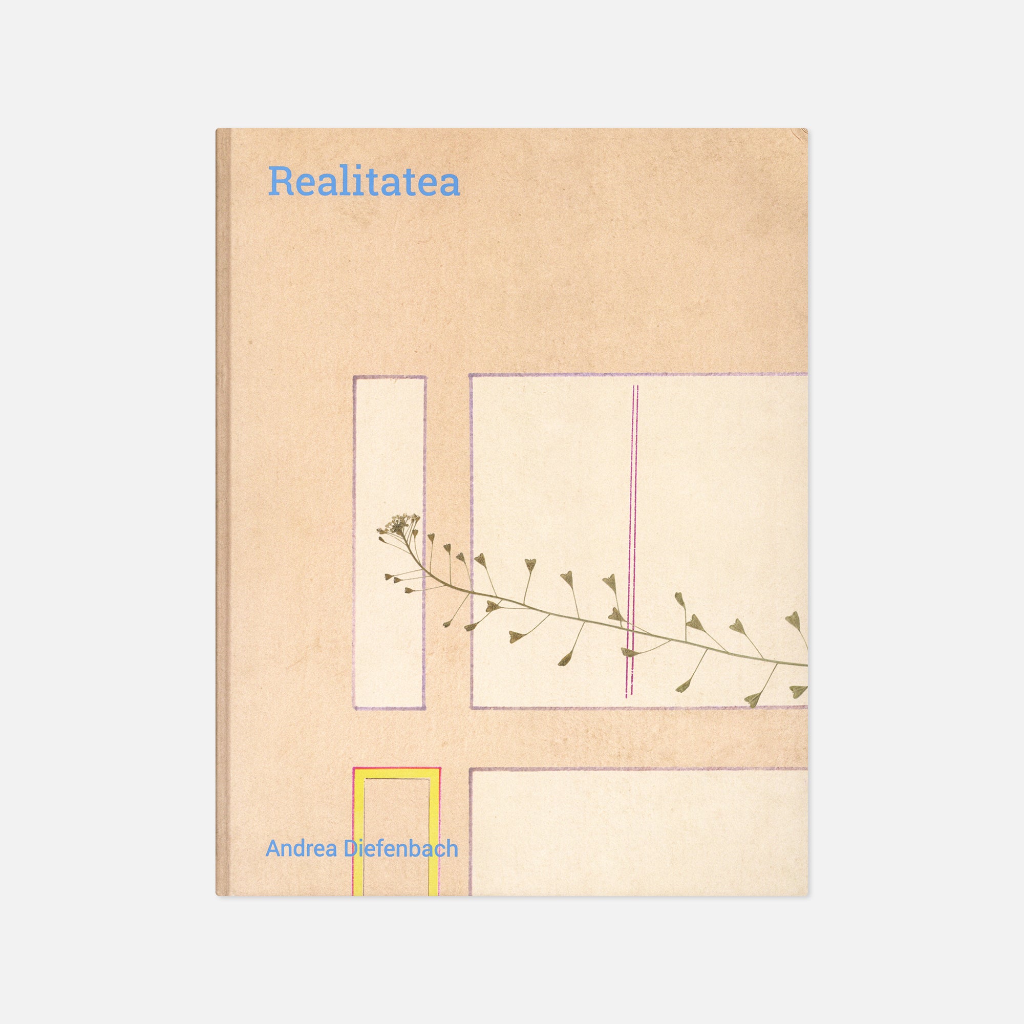 Andrea Diefenbach — Realitatea