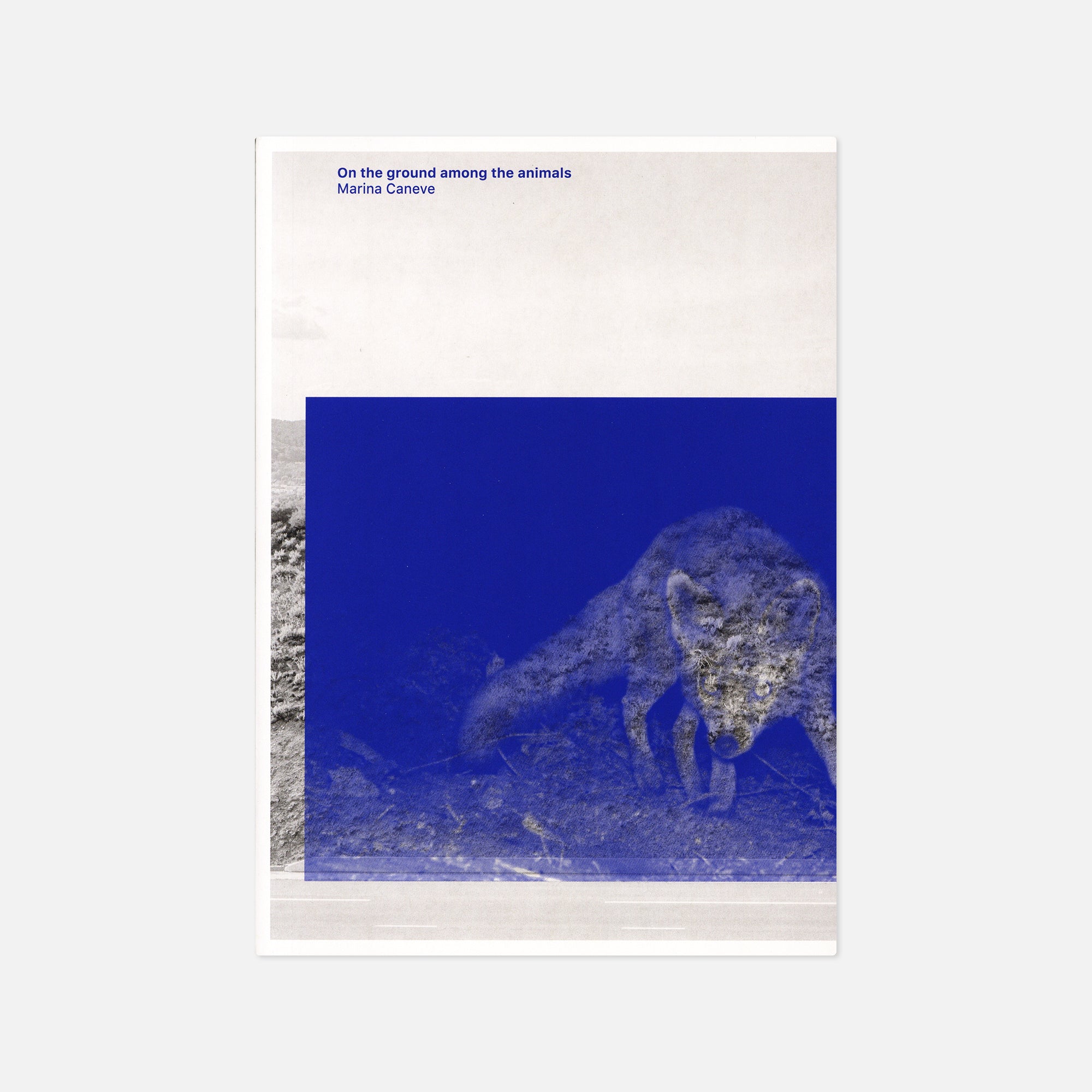 Marina Caneve — On the Ground Among the Animals