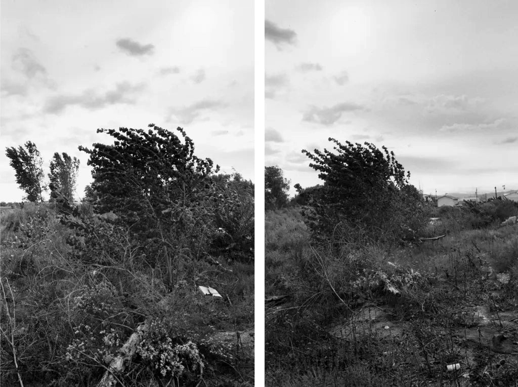 Robert Adams — Listening to the River