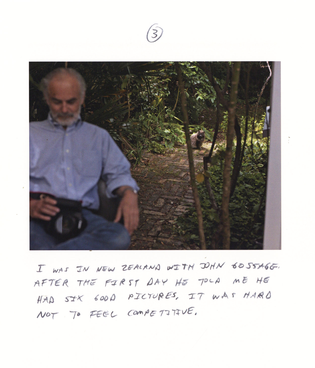 John Gossage & Alec Soth — The Auckland Project