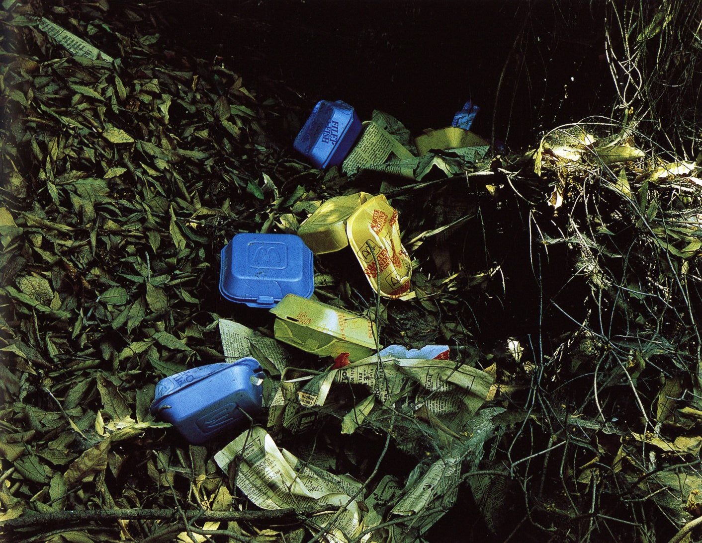 Anthony Hernandez — Sons of Adam: Landscapes for the Homeless II