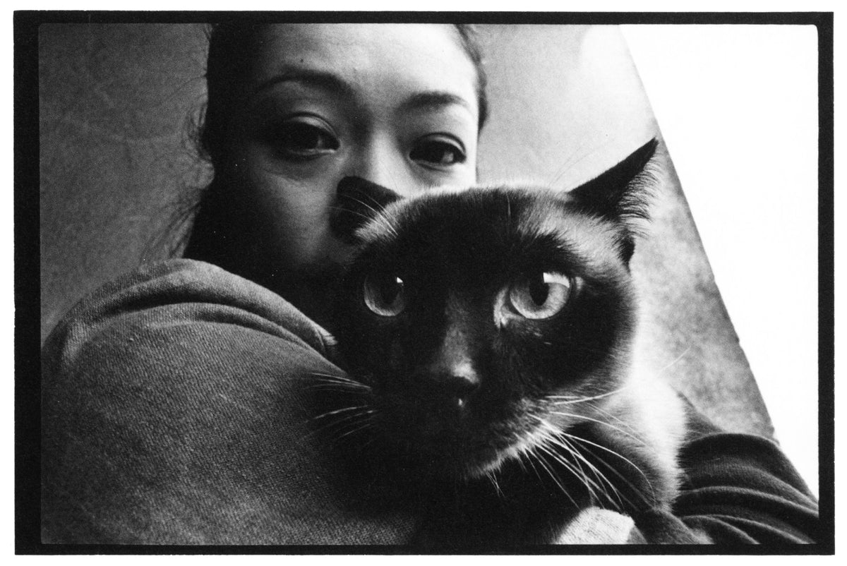 Masahisa Fukase — Wonderful Days